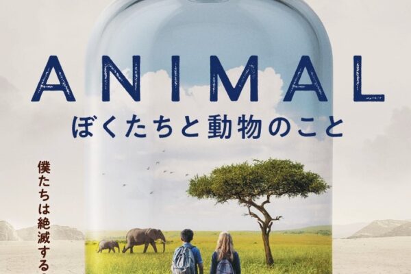 11月1日(金)発売！映画『アニマル ぼくたちと動物のこと』教育機関用DVD