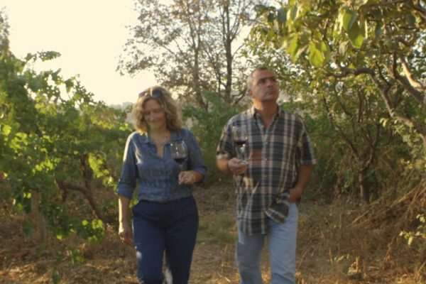 レバノン支援上映キャンペーン『戦地で生まれた奇跡のレバノンワイン』上映1件あたり1万円寄付