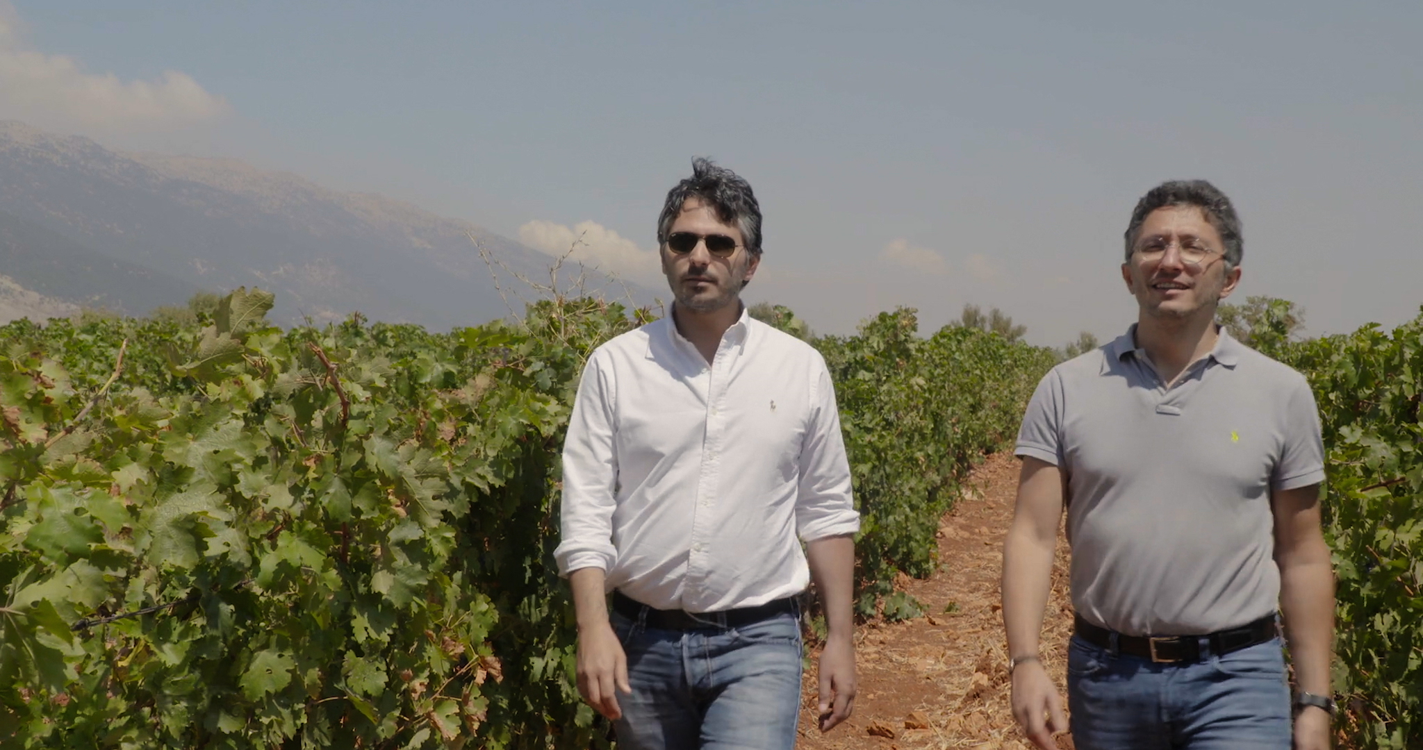 映画概要 映画 戦地で生まれた奇跡のレバノンワイン 公式サイト